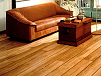 Parquets Gers, vitrification parquets, cire, mise en huile, finitions et entretien des parquets bois massifs coll&eacute;s, parquets clou&eacute;s, parquets flottants, stratifi&eacute;s, Gers, Auch 32